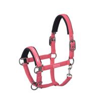 Eskadron Halster Doublpin Softshell Classic Sports