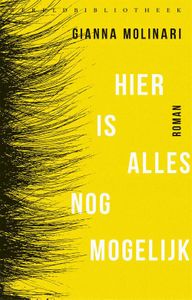 Hier is alles nog mogelijk - Gianna Molinari - ebook