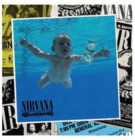 Nirvana - Nevermind 30e Jubileum Editie 8-LP + 1 Single Box Set - Beperkte Oplage - thumbnail