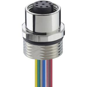 Lutronic 1232 Sensor/actuator inbouwconnector M12 Aantal polen: 4 Stekker, inbouw 0.50 m 1 stuk(s)