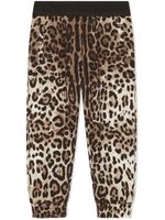 Dolce & Gabbana Kids pantalon de jogging à imprimé léopard - Marron