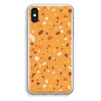 Terrazzo N°24: iPhone X Transparant Hoesje