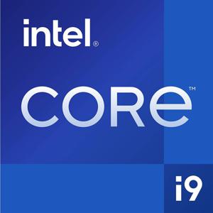 Intel® Core™ i9 i9-12900K 16 x 3.2 GHz 16-Core Processor (CPU) WOF Socket: Intel 1700 241 W