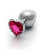 Aluminium Buttplug Large in Elegant Zilver met een Siersteen