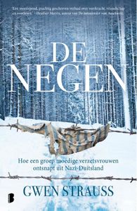 De negen - Gwen Strauss - ebook