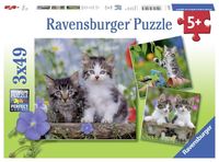 Ravensburger puzzel 3x49 stukjes jonge katjes