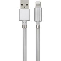 Renkforce USB-kabel USB 2.0 USB-A stekker, Apple Lightning stekker 1.00 m Wit TO-6897012 - thumbnail