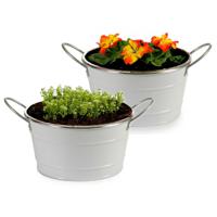 Plantenpot/bloempot teil - 2x - rond - zink - wit - D20 x H11 cm