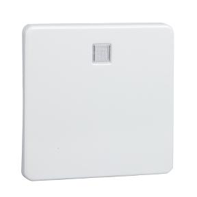 Schneider Electric 213614 accessoire elektrische schakelaar Sleutel