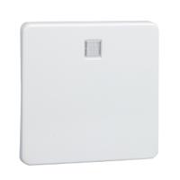 Schneider Electric 213614 accessoire elektrische schakelaar Sleutel