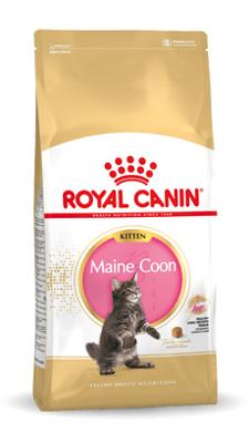 Royal Canin Kitten Maine Coon kattenvoer 2 x 10 kg Royal Canin Kitten Maine Coon kattenvoer 2 x 10 kg