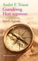 Gaandeweg Hem tegemoet - Andre Troost - eBook (9789023929086)