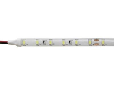 Barthelme 51511434 51511434 LED-strip Met open kabeleinde 24 V 500 cm Wit