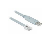 DeLOCK 63911 kabeladapter/verloopstukje USB 2.0 Type-A RJ45 Blauw