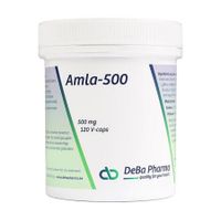 Amla-500 120 Plantaardige Capsules