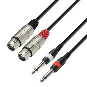 Adam Hall 3 Star TFP 0600 verloopkabel 2x XLR female naar 2x jack mono 6m