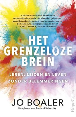 Het grenzeloze brein - Jo Boaler - eBook (9789402758948)