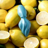 Ototo Design OT880 citruspers Kunststof Turkoois