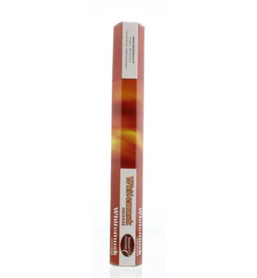 Nature's Incense Wierook Musk (20st)