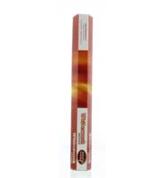 Nature's Incense Wierook Musk (20st)