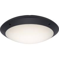 Brilliant G96053/63 Medway LED-buitenlamp (plafond) LED LED vast ingebouwd 12 W Antraciet - thumbnail