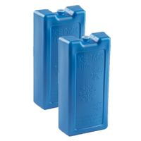 2x stuks 1100 grams koelelementen 22 x 11.5 cm kobalt blauw