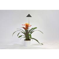 Venso LED-plantenlamp SUNLiTE LED vast ingebouwd 7 W Neutraalwit 1 stuk(s) - thumbnail