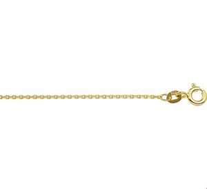 TFT Collier Geelgoud Anker Geslepen 1,1 mm 41 - 43 - 45 cm