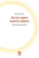 De zon regent koperen spijkers - Bart Plouvier - ebook - thumbnail