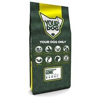 Pup 12 kg Yourdog bosanksi ostrodlaki gonic hondenvoer