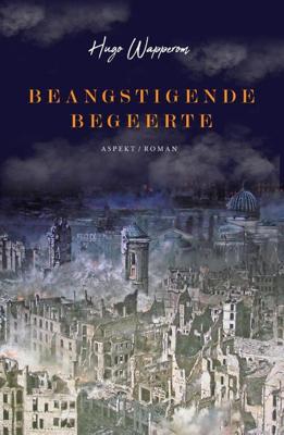 Beangstigende Begeerte - Hugo Wapperom - Paperback (9789463389341)