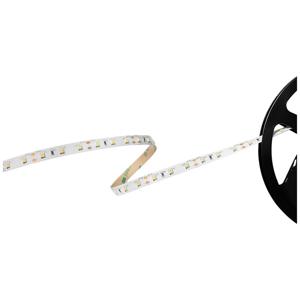 Barthelme Basic 60 51541134 LED-strip Met open kabeleinde 12 V 5 m Koudwit 1 stuk(s)