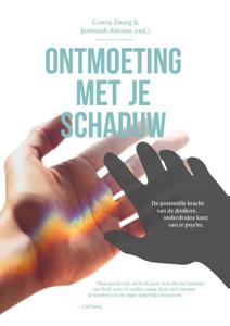 Ontmoeting met je schaduw (Paperback)