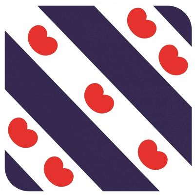 60x Onderzetters voor glazen met Friese vlag - Bierfiltjes 60x Onderzetters voor glazen met Friese vlag - Bierfiltjes