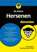 De kleine Hersenen voor Dummies - Hans Geluk, Mathijs Oude Lohuis - eBook (9789045357577)