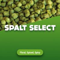 Hopkorrels Spalt Select 1 kg - thumbnail