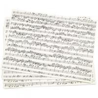 Creotime kraft papier muzieknoten zwart/wit 21 x 29,7 cm 10 stuks