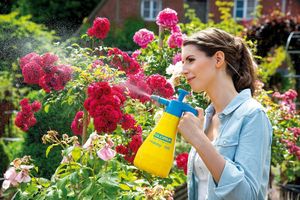 Gloria Haus und Garten 000015.0000 Hobby 100 Drukspuit 1 l