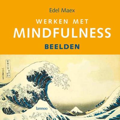 Werken met Mindfulness - E. Maex - Hardcover (9789020971569)