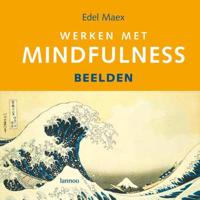 Werken met Mindfulness - E. Maex - Hardcover (9789020971569)