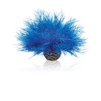 BiOrb Aquarium zeelelie blauw