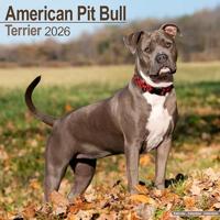American Pit Bull Terrier Calendar 2026 Square Dog Breed Wall Calendar - 16 Month