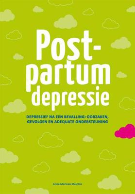 Postpartum depressie - Anne Marleen Meulink - Paperback (9789088505195) Postpartum depressie - Anne Marleen Meulink - Paperback (9789088505195)