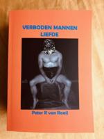 Verboden Liefde in Florida - Peter R van Raaij - ebook