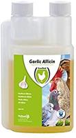 Garlic Allicin Liquid