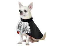 Atosa Kostuum voor huisdieren, vampier, zwarte cape met kraag, Halloween, themafeesten, grappig en elegant, comfortabel