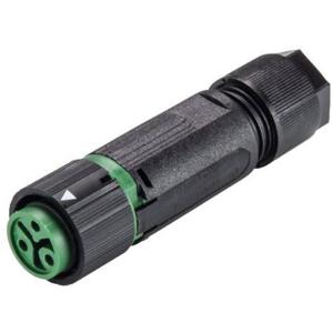 Wieland Electric 46.031.4555.7 Ronde connector Koppeling, recht Totaal aantal polen: 2 + PE Serie (ronde connectoren): RST® MINI 1 stuk(s)