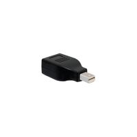 Adapter Mini-DisplayPort > DisplayPort Adapter