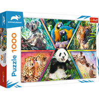 Puzzel - Animal Kingdom - thumbnail