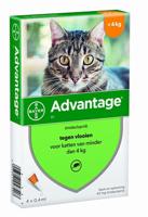 Bayer Advantage kat